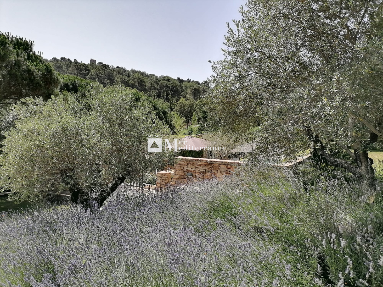 Image_, Maison, La Garde-Freinet, ref :8077