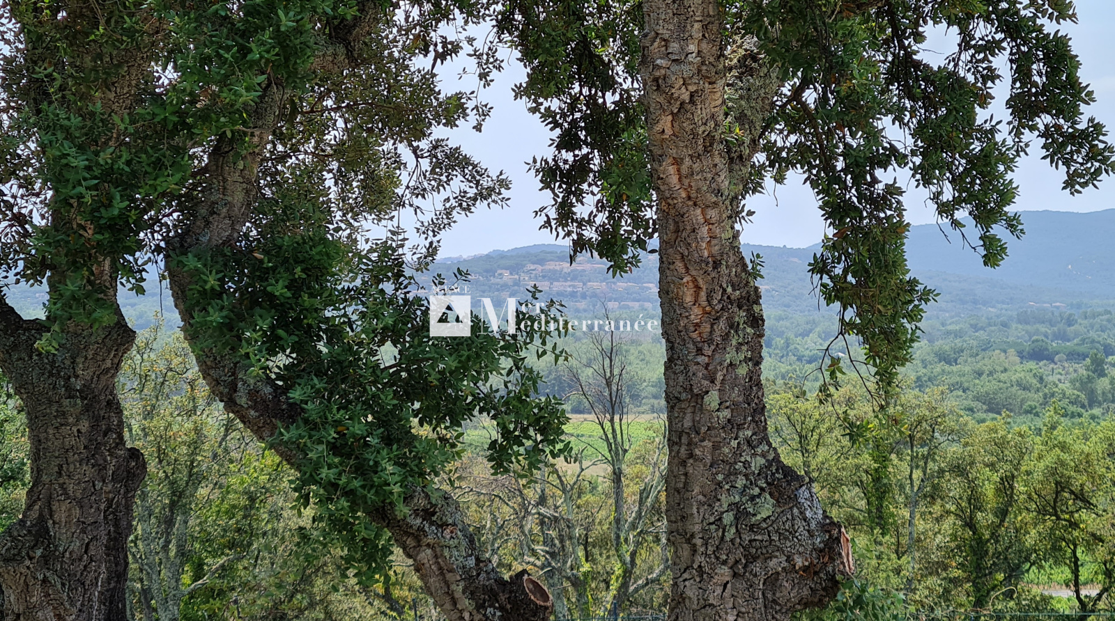 Image_, Maison, Grimaud, ref :2471