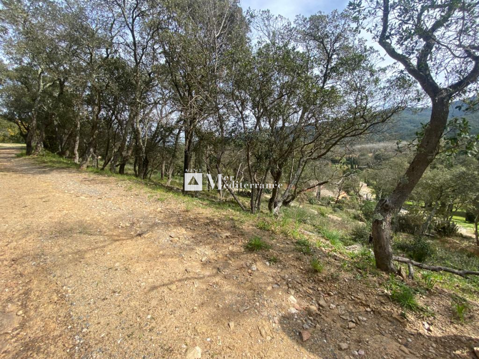 Image_, Terrain à batir, Cogolin, ref :2605