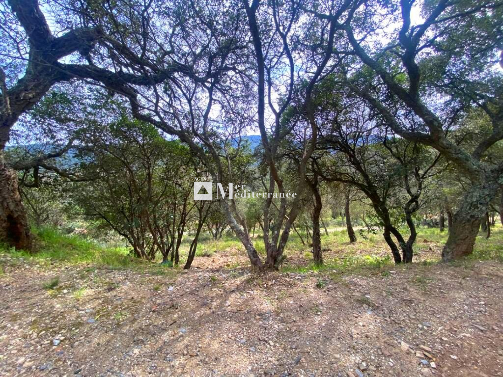 Image_, Terrain à batir, Cogolin, ref :2605