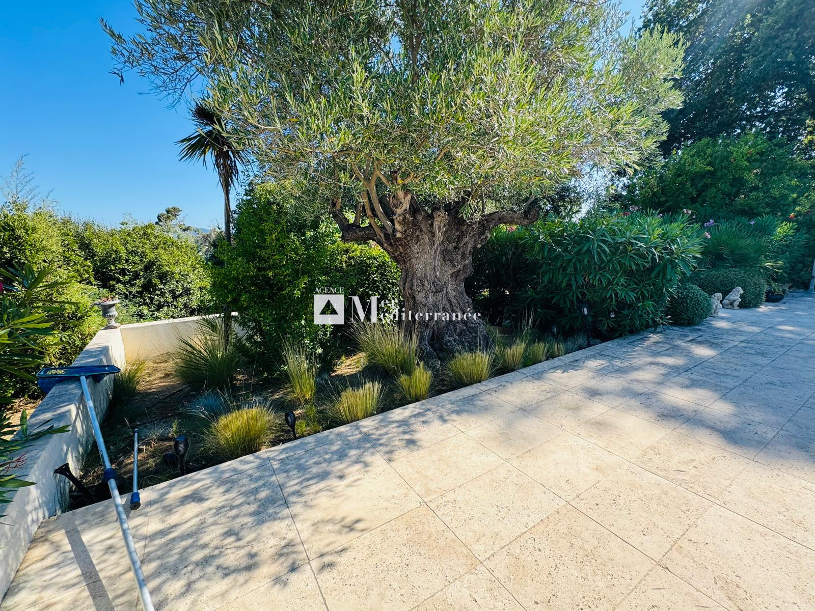 Image_, Villa, Grimaud, ref :LS 814
