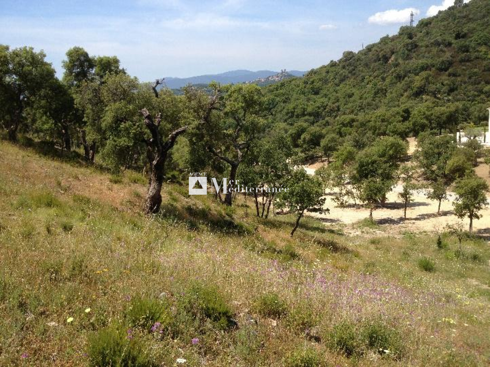 Image_, Terrain à batir, Grimaud, ref :2614