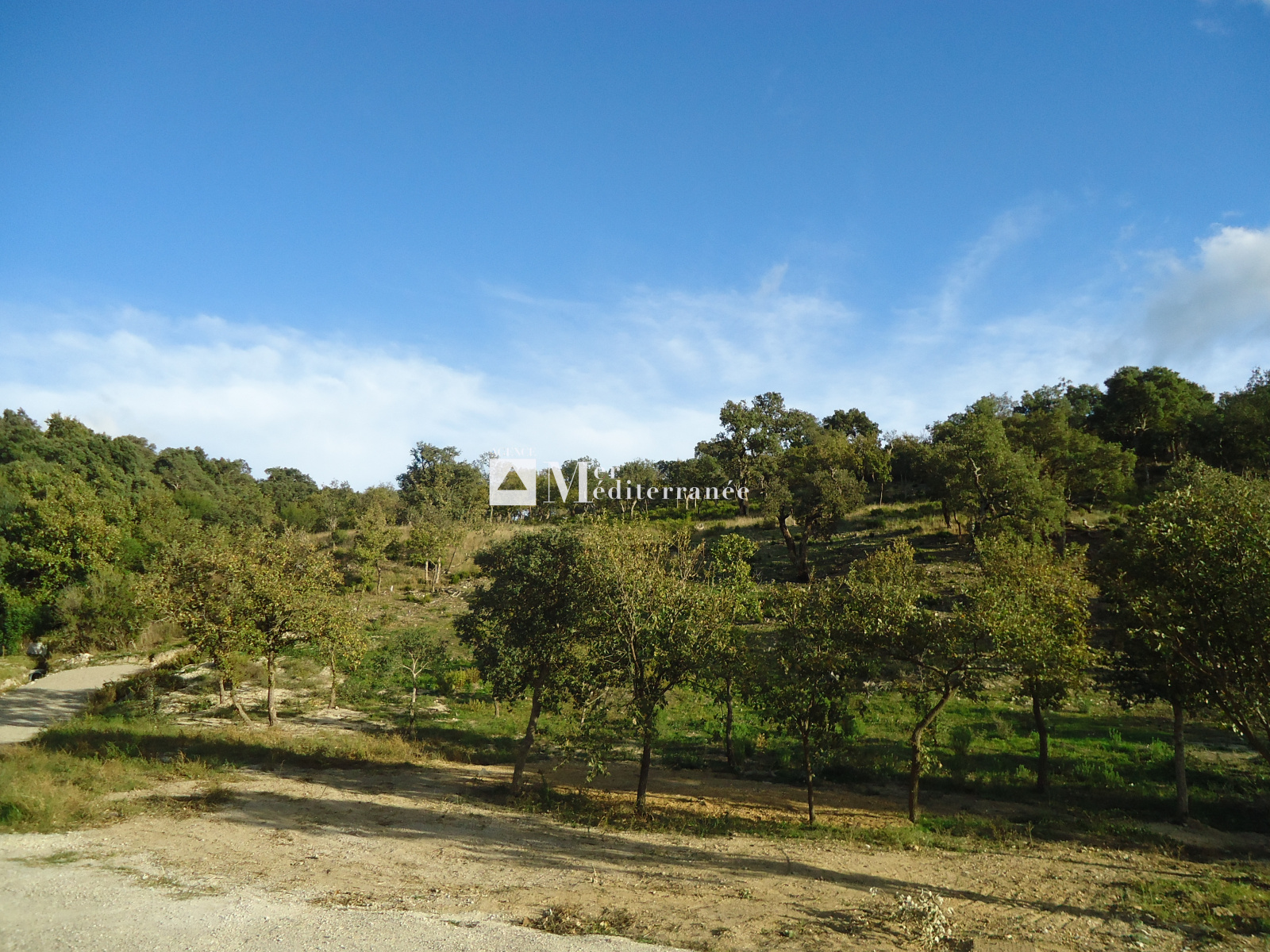 Image_, Terrain à batir, Grimaud, ref :2614