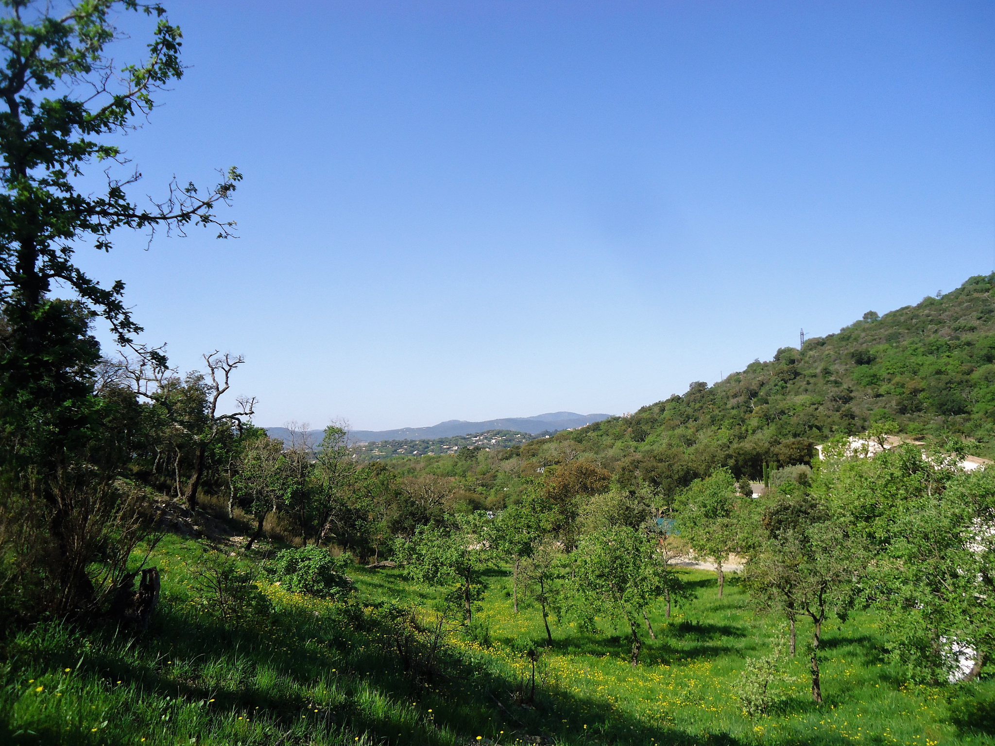 A VENDRE - TERRAIN  CONSTRUCTIBLE A GRIMAUD